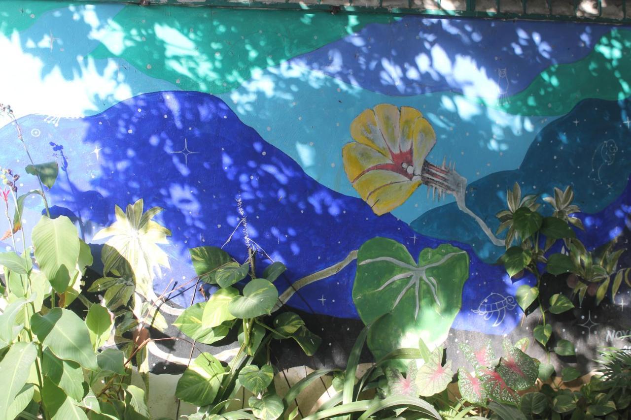 Hotel Szapot Bacalar Εξωτερικό φωτογραφία