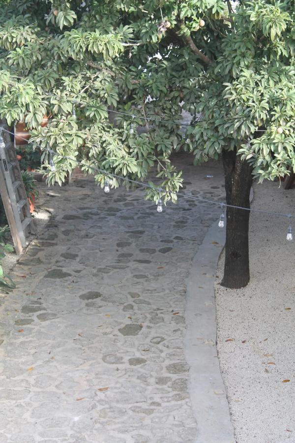 Hotel Szapot Bacalar Εξωτερικό φωτογραφία